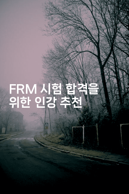 FRM 시험 합격을 위한 인강 추천2-금융키키
