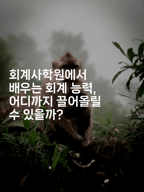 회계사학원에서 배우는 회계 능력, 어디까지 끌어올릴 수 있을까? 2-금융키키