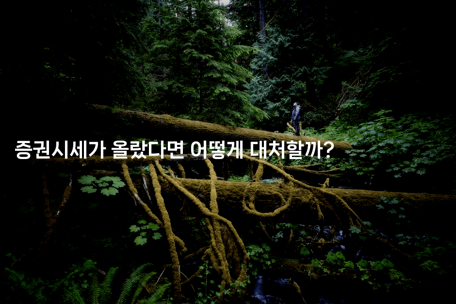 증권시세가 올랐다면 어떻게 대처할까? 2-금융키키