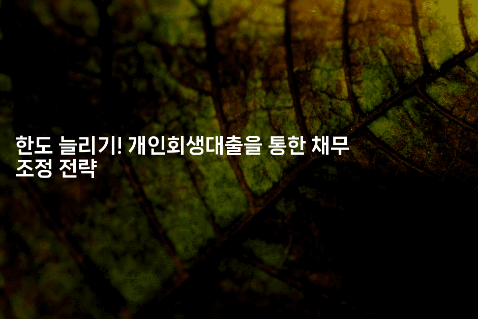 한도 늘리기! 개인회생대출을 통한 채무 조정 전략-금융키키