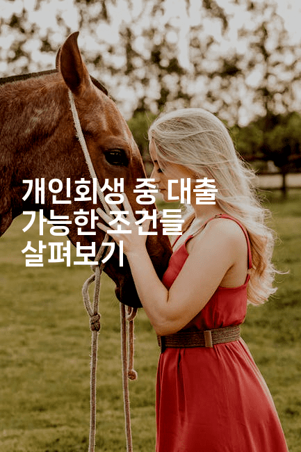 개인회생 중 대출 가능한 조건들 살펴보기-금융키키