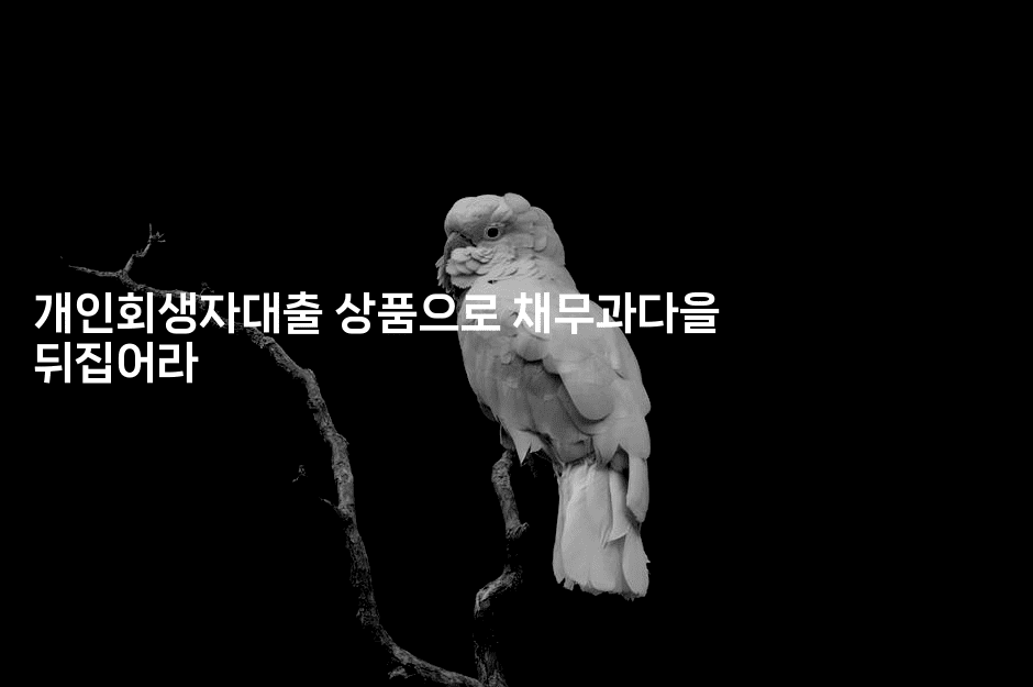 개인회생자대출 상품으로 채무과다을 뒤집어라-금융키키