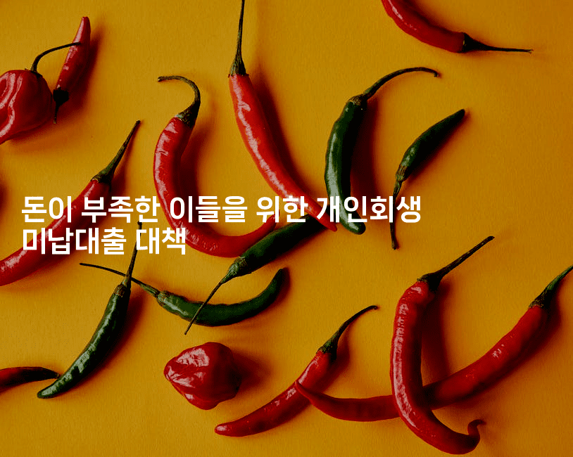 돈이 부족한 이들을 위한 개인회생 미납대출 대책-금융키키